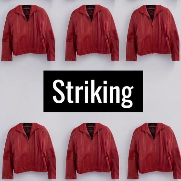 ❣️Leather Moto Jacket by Kenneth Cole ~ RARE Luxe Leather VHTF - Picture 5 of 15